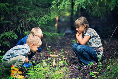 Drei Kinder hocken im Wald und betrachten den Boden